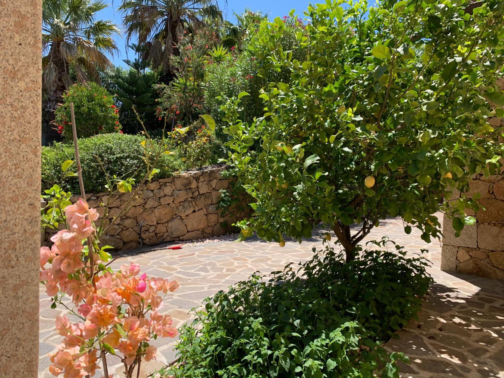 كوغنانا Villa Anastasia المظهر الخارجي الصورة